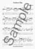 Ragtime Guitar (noty, kytarová tabulatura)
