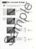 Play Mandolin Today! Level 1 (noty, tabulatury, mandolína) (+audio)