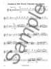 14 Advanced Christmas Favourites - Flute (noty, příčná flétna) (+audio)