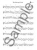 Learn To Play Irish Fiddle (noty na housle) (+audio)