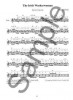 Celtic Fiddling Made Easy (noty na housle) (+audio)