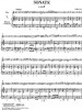Georg Friedrich Händel: Flute Sonatas Volume II - Hallenser-Sonatas (noty na příčnou flétnu, klavír)