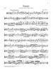 Johannes Brahms: Clarinet Sonatas Op.120 (noty na violu, klavír)