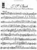 C.P.E. Bach: Violoncello Concerto in A Minor, Wq170/h432 (noty na violoncello) (+audio)