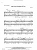 Bob Zottola: Signature Serie 2 - Standards Associated with Singers of Our Time (noty na trubku) (+audio)