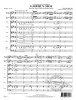 Ennio Morricone: Gabriel's Oboe from The Mission (noty pro smyčcový orchestr, party, partitura)