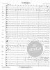 John Williams: 3 Holiday Songs from Home Alone (noty pro symfonický orchestr, partitura)